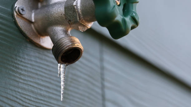 Best Residential Plumbing Services  in Wellington, TX